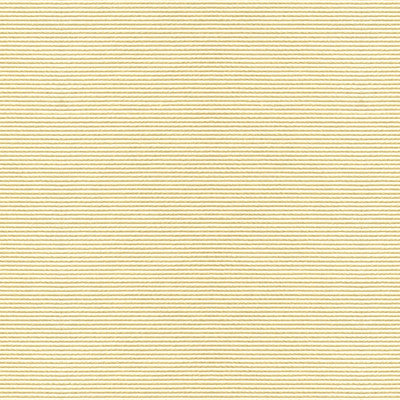 Bosporus Ottoman Texture Cream by Brunschwig & Fils Fabric Brunschwig & Fils Fabric Bosporus Ottoman Texture CreamFabric VISCOSE - 55%;COTTON - 45% France </p><p>Repeat: H: , V: 56 - Fabric Carolina -