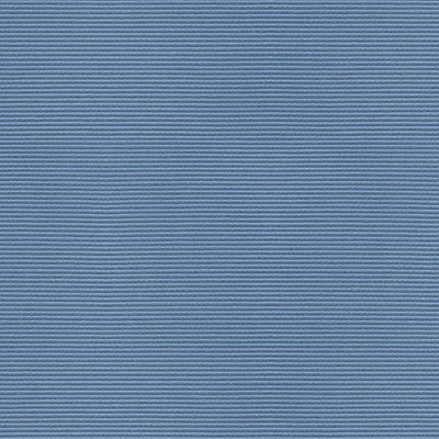 Bosporus Ottoman Texture Baltic by Brunschwig & Fils Fabric Brunschwig & Fils Fabric Bosporus Ottoman Texture BalticFabric VISCOSE - 55%;COTTON - 45% France </p><p>Repeat: H: , V: 56 - Fabric Carolina -