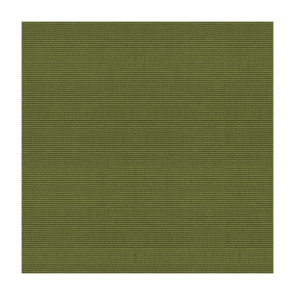 Bosporus Ottoman Texture Moss by Brunschwig & Fils Fabric Brunschwig & Fils Fabric Bosporus Ottoman Texture MossFabric VISCOSE - 55%;COTTON - 45% France </p><p>Repeat: H: , V: 56 - Fabric Carolina -