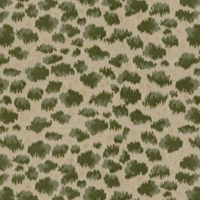 Zambezi Grospoint Moss by Brunschwig & Fils Fabric Brunschwig & Fils Fabric Zambezi Grospoint MossFabric COTTON - 100% Belgium </p><p>Repeat: H: 13.375, V: 12 53 - Fabric Carolina -