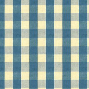 Carsten Check Indigo by Brunschwig & Fils Fabric