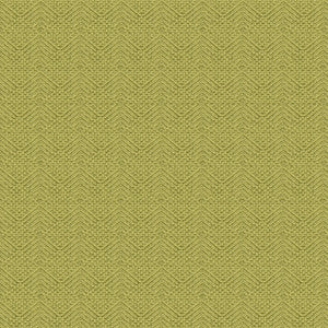 Clarise Woven Texture Lichen by Brunschwig & Fils Fabric