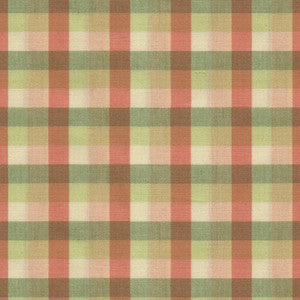 Saint Martin Check C Oral & Green by Brunschwig & Fils Fabric