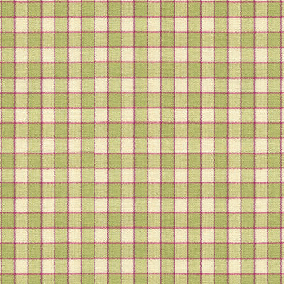 La Seyne Check Apple by Brunschwig & Fils Fabric Brunschwig & Fils Fabric La Seyne Check AppleFabric TRESORS DE JOUY COTTON - 100% India </p><p>Repeat: H: 0.8, V: 0.8 53 - Fabric Carolina -