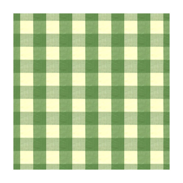 Exchequer Cotton Check Jade by Brunschwig & Fils Fabric Brunschwig & Fils Fabric Exchequer Cotton Check JadeFabric COTTON - 100% India </p><p>Repeat: H: 4, V: 4 54 - Fabric Carolina -