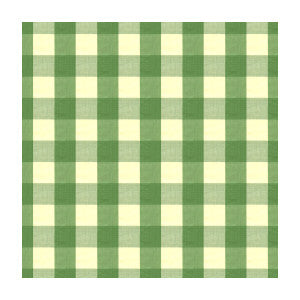 Exchequer Cotton Check Jade by Brunschwig & Fils Fabric