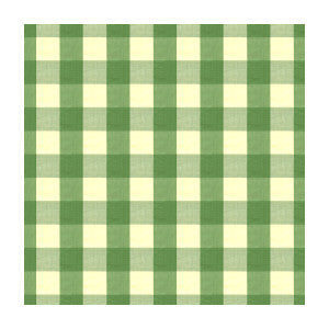 Exchequer Cotton Check Jade by Brunschwig & Fils Fabric