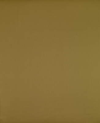 Fyvie Wool Satin Pistachio by Brunschwig & Fils Fabric Brunschwig & Fils Fabric Fyvie Wool Satin PistachioFabric WOOL - 100% Brazil </p><p>Repeat: H: , V: 55 - Fabric Carolina -