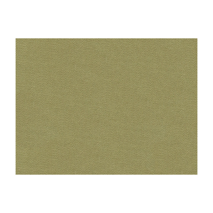 Fyvie Wool Satin Khaki by Brunschwig & Fils Fabric Brunschwig & Fils Fabric Fyvie Wool Satin KhakiFabric WOOL - 100% Brazil </p><p>Repeat: H: , V: 55 - Fabric Carolina -