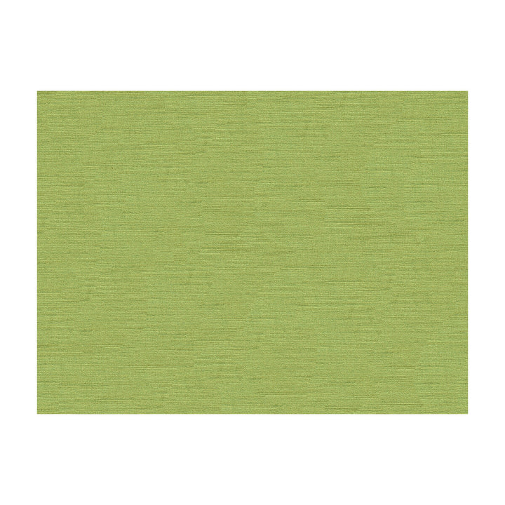 Quillan Velvet Aloe by Brunschwig & Fils Fabric Brunschwig & Fils Fabric Quillan Velvet AloeFabric VISCOSE - 100% Italy </p><p>Repeat: H: , V: 55 - Fabric Carolina -