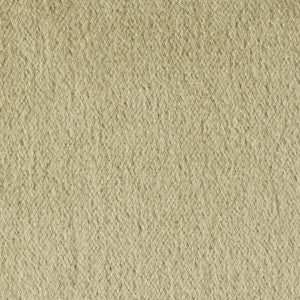 Autun Mohair Velvet Eucalyptus by Brunschwig & Fils Fabric