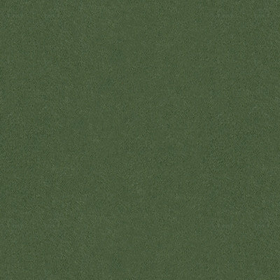 Autun Mohair Velvet Bayleaf by Brunschwig & Fils Fabric Brunschwig & Fils Fabric Autun Mohair Velvet BayleafFabric MOHAIR - 100% Netherlands </p><p>Repeat: H: , V: 55 - Fabric Carolina -