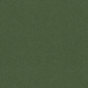 Autun Mohair Velvet Bayleaf by Brunschwig & Fils Fabric
