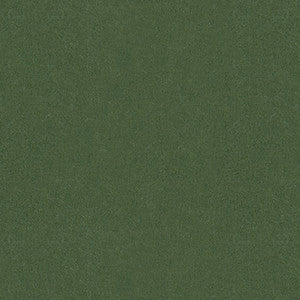 Autun Mohair Velvet Bayleaf by Brunschwig & Fils Fabric