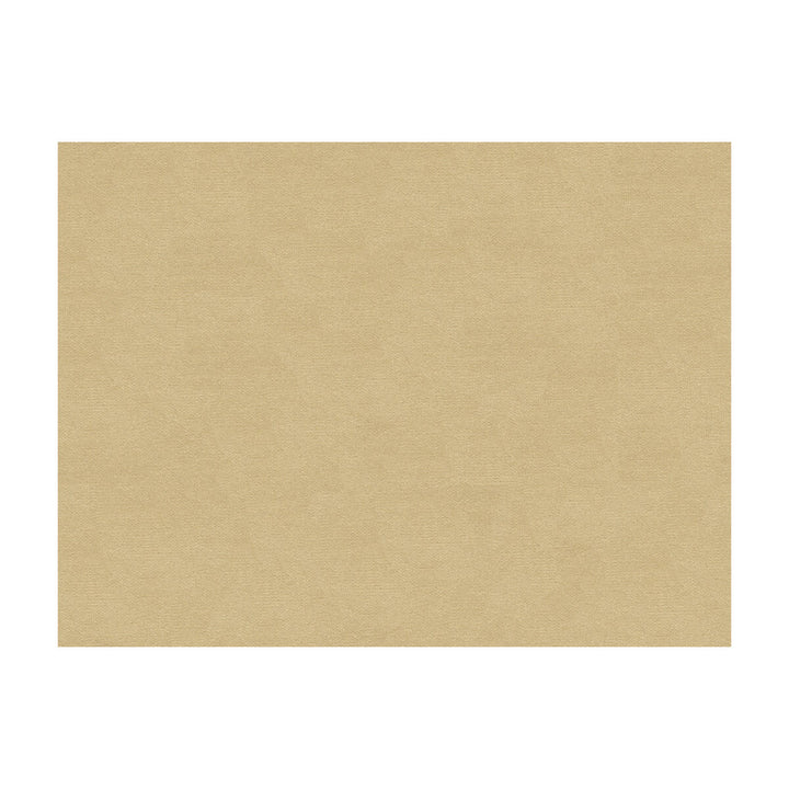 Lubeck Cotton Velvet Oyster by Brunschwig & Fils Fabric Brunschwig & Fils Fabric Lubeck Cotton Velvet OysterFabric COTTON - 100% Netherlands </p><p>Repeat: H: , V: 55 - Fabric Carolina -