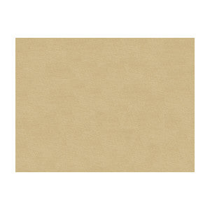 Lubeck Cotton Velvet Oyster by Brunschwig & Fils Fabric
