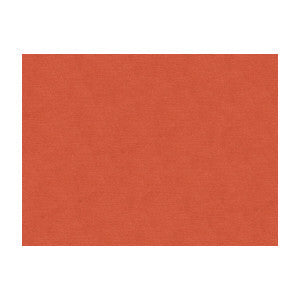 Lubeck Cotton Velvet Shell by Brunschwig & Fils Fabric