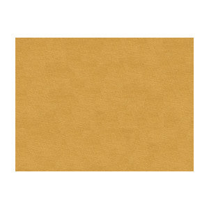 Lubeck Cotton Velvet Buttercream by Brunschwig & Fils Fabric