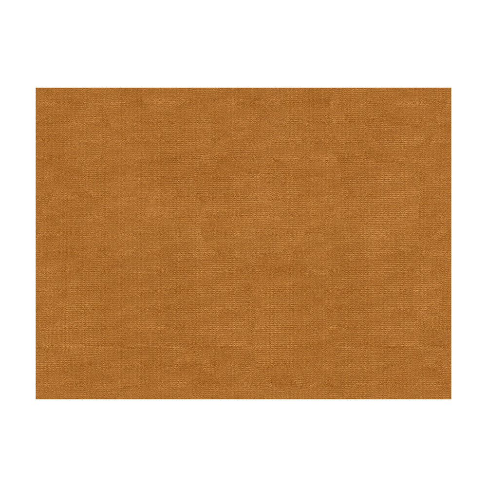 Lubeck Cotton Velvet Honey by Brunschwig & Fils Fabric Brunschwig & Fils Fabric Lubeck Cotton Velvet HoneyFabric COTTON - 100% Netherlands </p><p>Repeat: H: , V: 55 - Fabric Carolina -