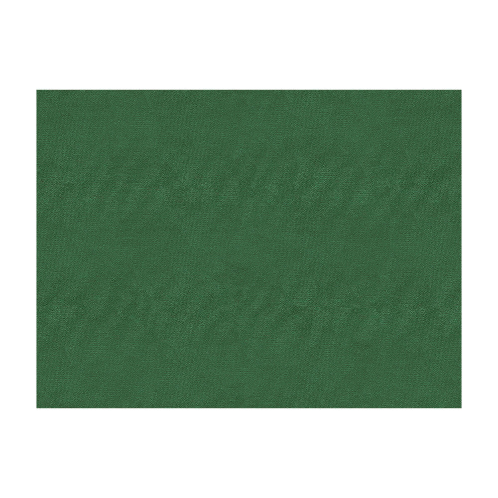 Lubeck Cotton Velvet Ivy by Brunschwig & Fils Fabric Brunschwig & Fils Fabric Lubeck Cotton Velvet IvyFabric COTTON - 100% Netherlands </p><p>Repeat: H: , V: 55 - Fabric Carolina -