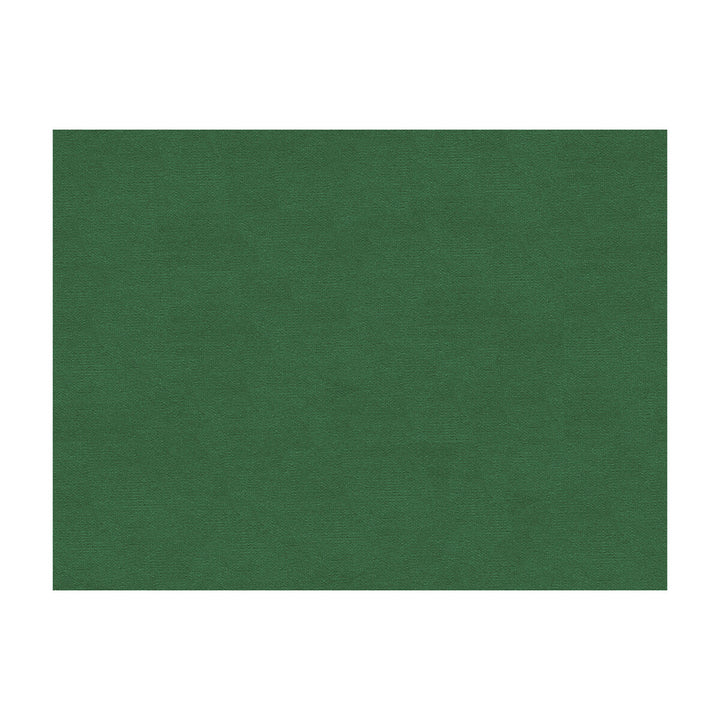 Lubeck Cotton Velvet Ivy by Brunschwig & Fils Fabric Brunschwig & Fils Fabric Lubeck Cotton Velvet IvyFabric COTTON - 100% Netherlands </p><p>Repeat: H: , V: 55 - Fabric Carolina -