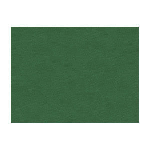 Lubeck Cotton Velvet Ivy by Brunschwig & Fils Fabric