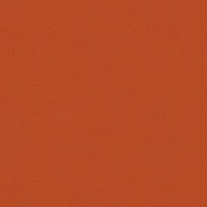 Lubeck Cotton Velvet Auburn by Brunschwig & Fils Fabric