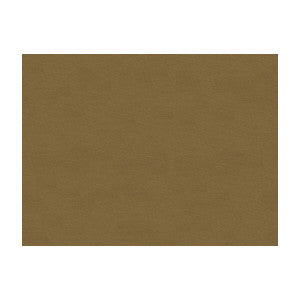 Lubeck Cotton Velvet Fawn by Brunschwig & Fils Fabric