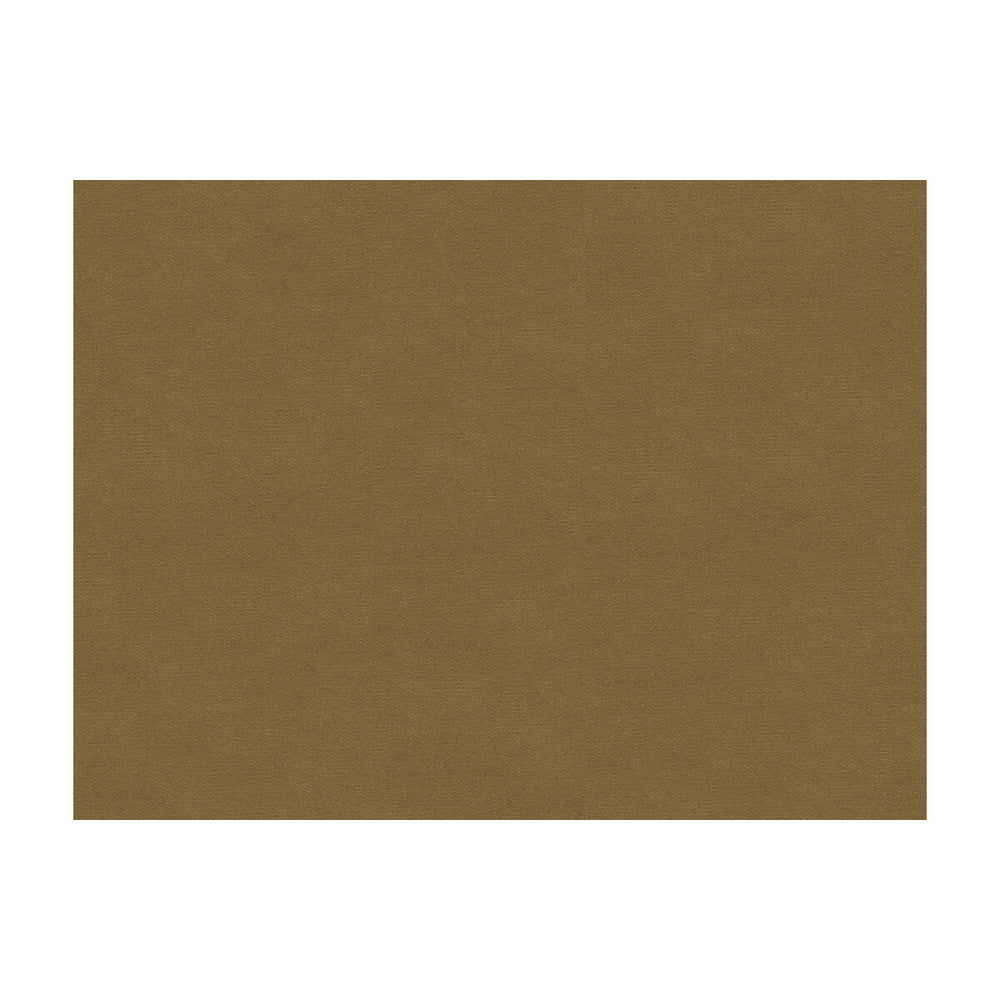 Lubeck Cotton Velvet Fawn by Brunschwig & Fils Fabric Brunschwig & Fils Fabric Lubeck Cotton Velvet FawnFabric COTTON - 100% Netherlands </p><p>Repeat: H: , V: 55 - Fabric Carolina -
