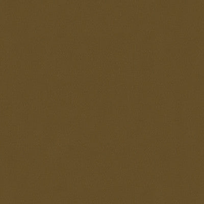 Lubeck Cotton Velvet Hazlnut by Brunschwig & Fils Fabric Brunschwig & Fils Fabric Lubeck Cotton Velvet HazlnutFabric COTTON - 100% Netherlands </p><p>Repeat: H: , V: 55 - Fabric Carolina -