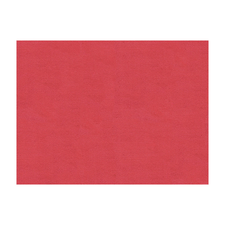 St Florent Silk Velvet Flamingo by Brunschwig & Fils Fabric Brunschwig & Fils Fabric St Florent Silk Velvet FlamingoFabric SILK - 100% China </p><p>Repeat: H: , V: 55 - Fabric Carolina -
