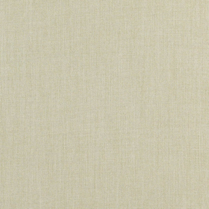 Bradshaw 33J7381 by JF Fabric Bradshaw Book 100% Polyester Taiwan 85000 Horizontal: and Vertical: 55 - Fabric Carolina -