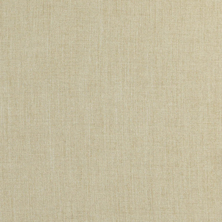 Bradshaw 35J7381 by JF Fabric Bradshaw Book 100% Polyester Taiwan 85000 Horizontal: and Vertical: 55 - Fabric Carolina -