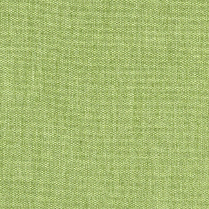 Bradshaw 77J7381 by JF Fabric Bradshaw Book 100% Polyester Taiwan 85000 Horizontal: and Vertical: 55 - Fabric Carolina -