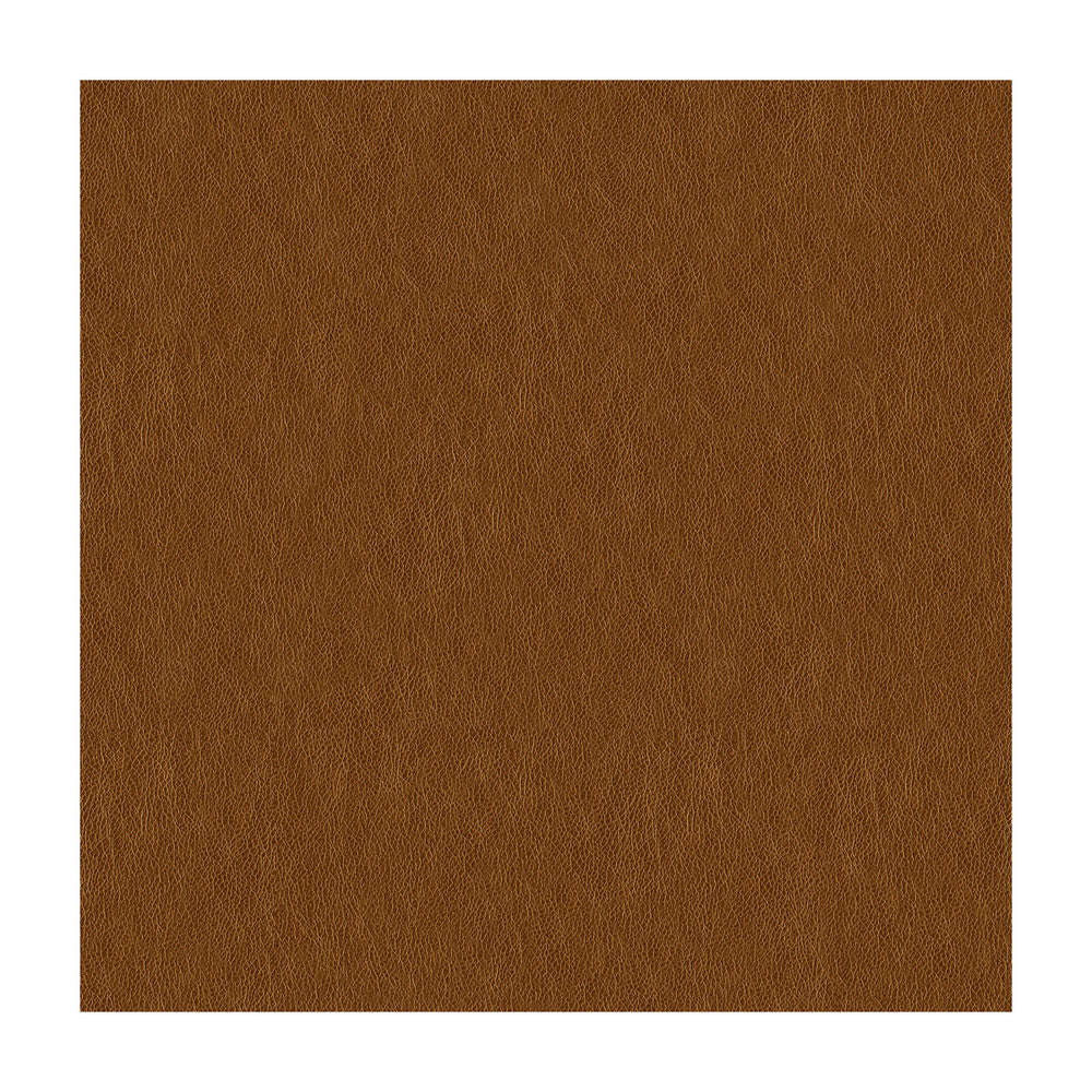 Brandi-404 by Kravet Contract Fabric POLYURETHANE - 100% China MEDIUM Horizontal: and Vertical: 54 - Fabric Carolina -