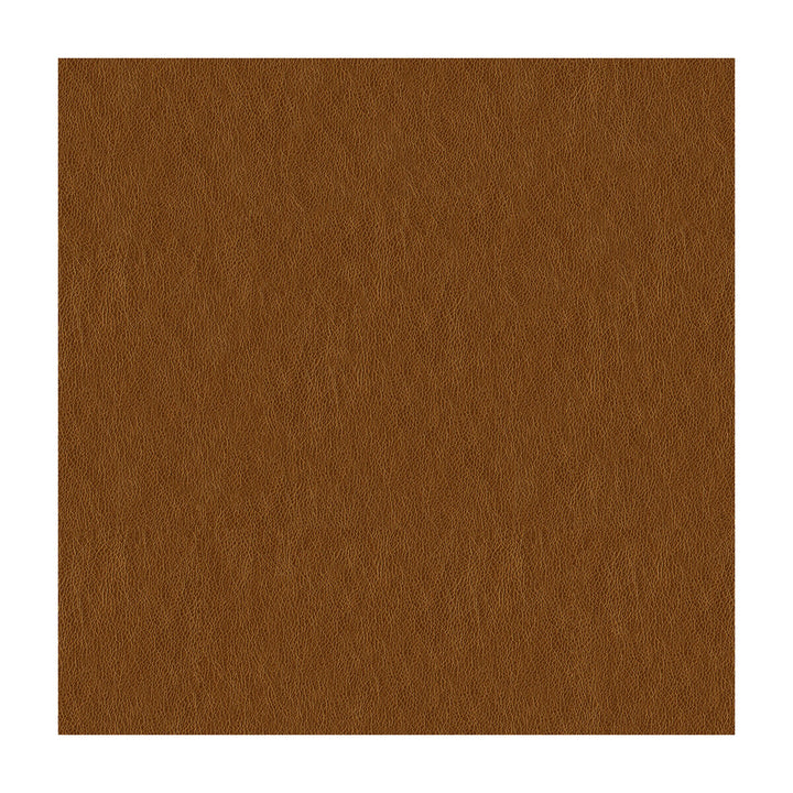Brandi-404 by Kravet Contract Fabric - POLYURETHANE - 100% China MEDIUM Horizontal: - and Vertical: - 54 - Fabric Carolina -