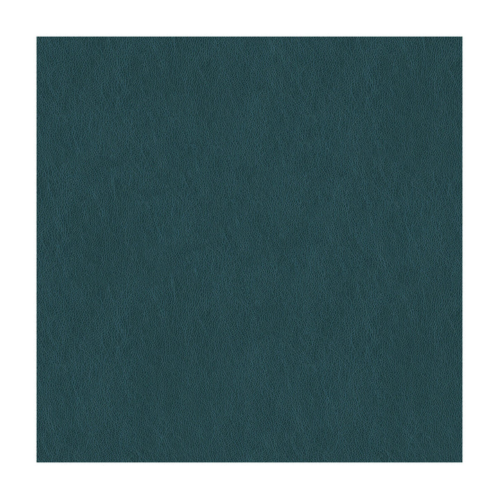 Brandi-5 by Kravet Contract Fabric POLYURETHANE - 100% China MEDIUM Horizontal: and Vertical: 54 - Fabric Carolina -