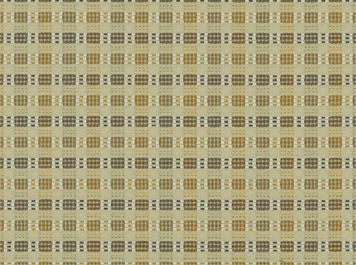 Branford Parchment 131 by Covington Designer Fabric 60% COTTON, 40% POLYESTER TAI 50000 Horizontal: 0.625 and Vertical: 1 56 - Swanky Fabrics -