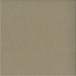 Bremen Driftwood 874 by Norbar Fabric Color/BEIGE 100% LINEN 10,000 WYZENBEEK 54" - Fabric Carolina -