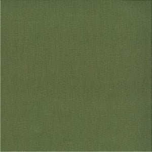 Bremen Verdant 379 by Norbar Fabric 100% LINEN 10,000 WYZENBEEK 54" - Fabric Carolina -