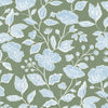 Brett 1 Aloe by Stout Fabric