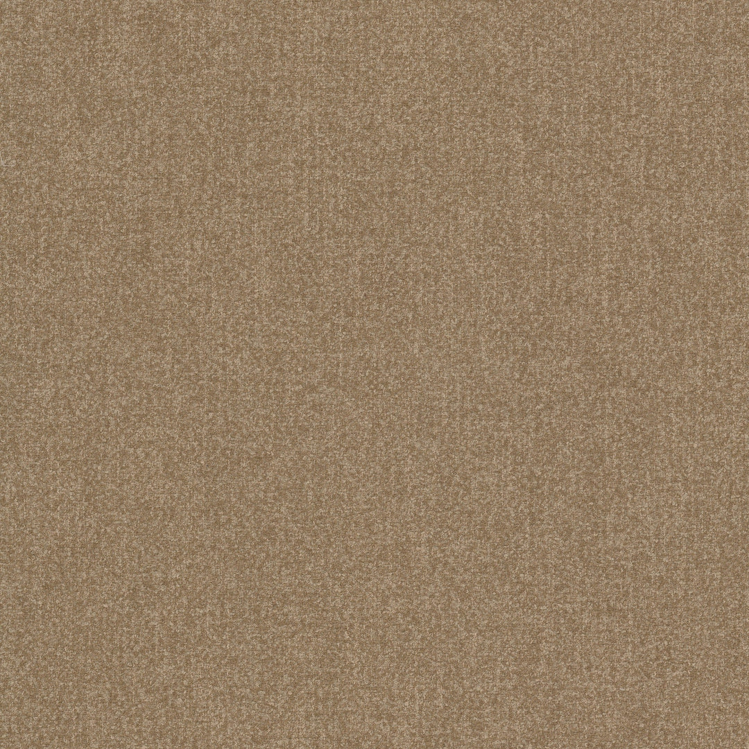 Brevity 2 Camel by Stout Designer Fabric