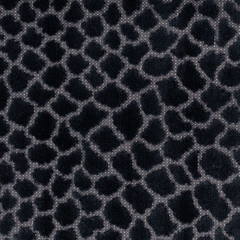 Brier 1 Lake by Stout Fabric PILED HIGH VELVETS 91%POL 9%COT INDIA FLAME RETARDANT-N.F.P.A. 701 SMALL SCALE Horizontal: 14.000 and Vertical: 14.000 54 in - Fabric Carolina -