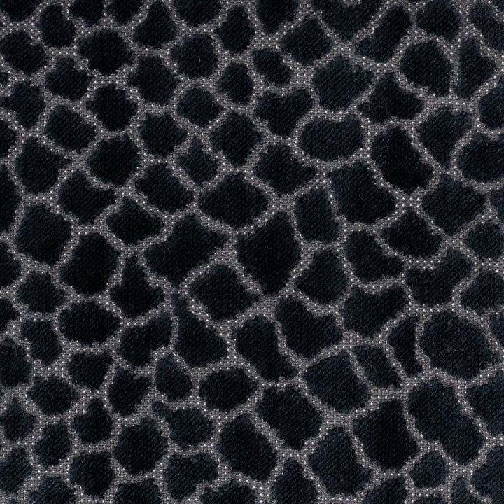 Brier 1 Lake by Stout Fabric PILED HIGH VELVETS 91%POL 9%COT INDIA FLAME RETARDANT-N.F.P.A. 701 SMALL SCALE Horizontal: 14.000 and Vertical: 14.000 54 in - Fabric Carolina -