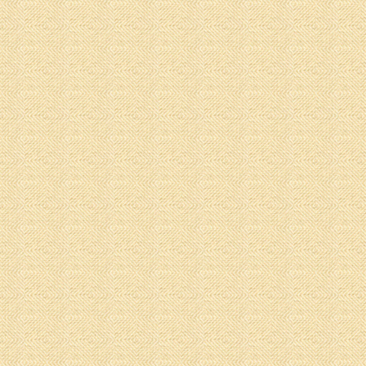 Brody 9 Chardonnay by Stout Fabric RAINBOW LIBRARY MICA/BRONZE 61%ACR 39%POL TURKEY FLAME RETARDANT-U.F.A.C. CLASS 1 MARTINDALE WEAR TEST (25 000 CIRCULAR RUBS) Horizontal: 3.5 and Vertical: 3.5 54 in - Fabric Carolina -