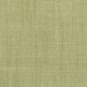 Bromiley 3 Apple by Stout Fabric