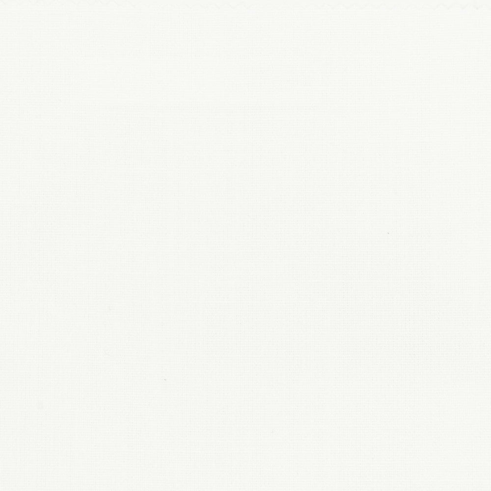 Bromiley 4 White by Stout Designer Fabric COLOR APPEAL 100%POL INDIA Horizontal: 0.000 and Vertical: 0.000 54 in - Swanky Fabrics -