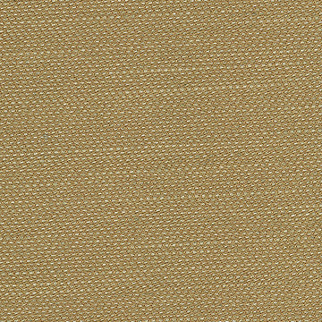 Brussels 4920 467 Cape by Magnolia Fabric See sample 68% Viscose 32% Polyester INDIA 200,000+ </p><p>Repeat: Horizontal: 0 and Vertical: 0 54" - Fabric Carolina -