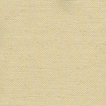 Brussels 4920 508 Shell by Magnolia Fabric See sample 68% Viscose 32% Polyester INDIA 200,000+ </p><p>Repeat: Horizontal: 0 and Vertical: 0 54" - Fabric Carolina -