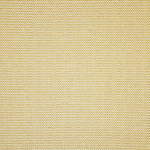 Brockton # 355 Popcorn by Maxwell Fabric